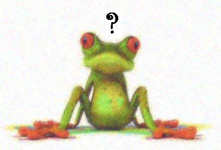 Image of confused-looking frog