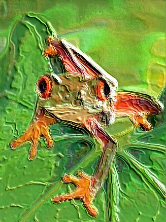 Image of frog